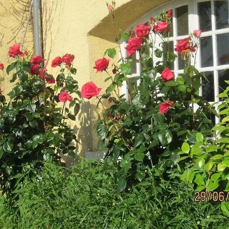 Le Manoir D'arlette *